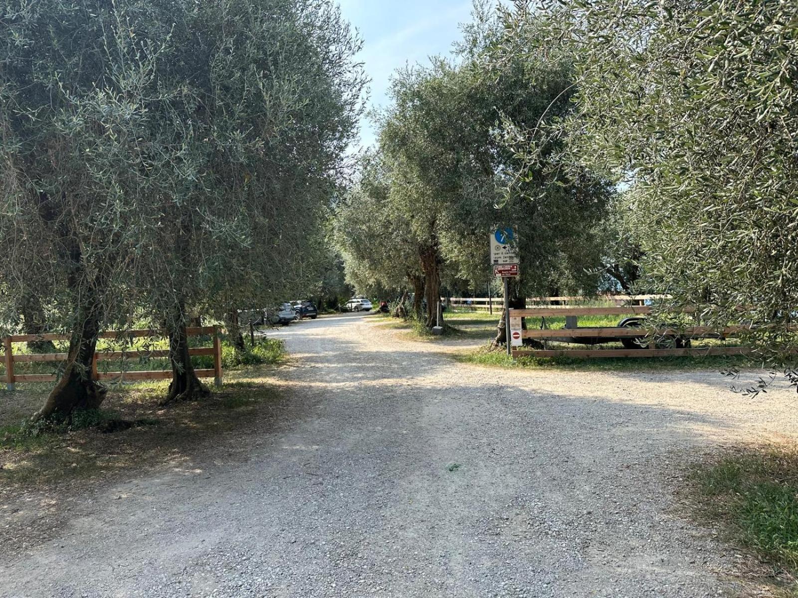 Torbole Aparthotel Torbole Sul Garda Ngoại thất bức ảnh